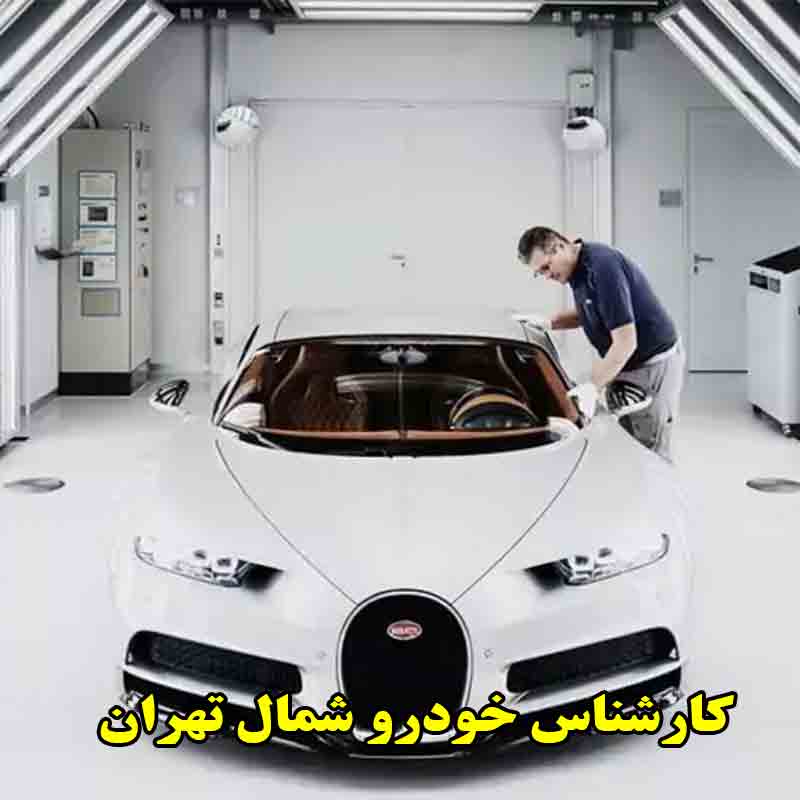 کارشناسی خودرو شمال تهران